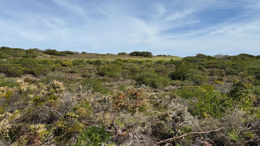 0 Bedroom Property for Sale in Pezula Golf Estate Western Cape